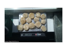 Морской гребешок сахалинский 10/15